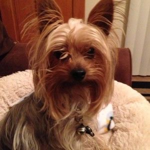 Meet your Posher, Mary